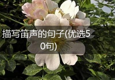 描写笛声的句子(优选50句)