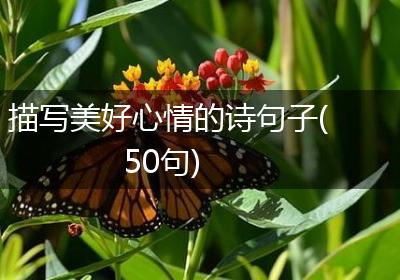 描写美好心情的诗句子(50句)