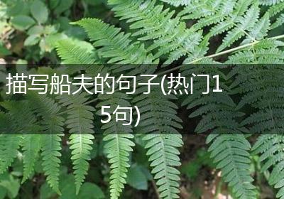 描写船夫的句子(热门15句)