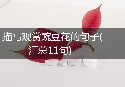 描写观赏豌豆花的句子(汇总11句)