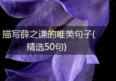 描写薛之谦的唯美句子(精选50句)