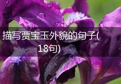描写贾宝玉外貌的句子(18句)