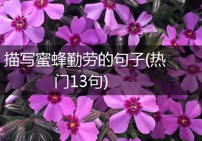 描写蜜蜂勤劳的句子(热门13句)