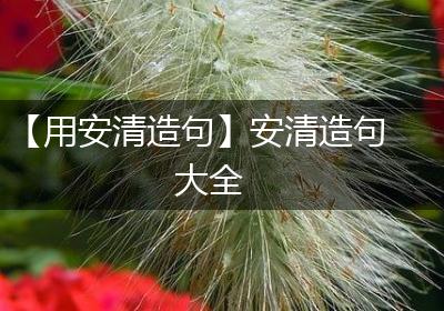 【用安清造句】安清造句大全