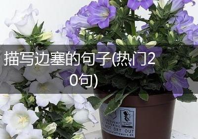 描写边塞的句子(热门20句)