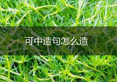 可中造句怎么造