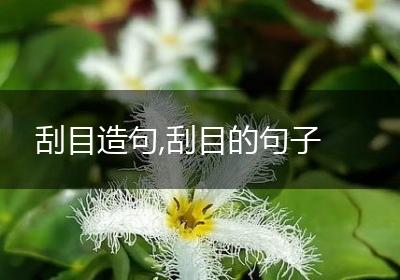 刮目造句,刮目的句子
