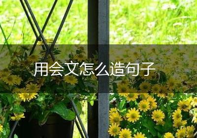用会文怎么造句子