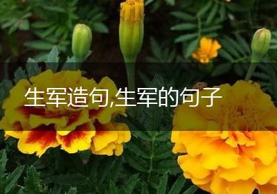 生军造句,生军的句子