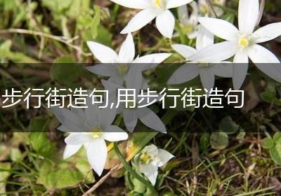 步行街造句,用步行街造句