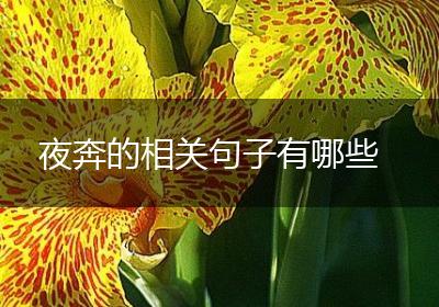 夜奔的相关句子有哪些