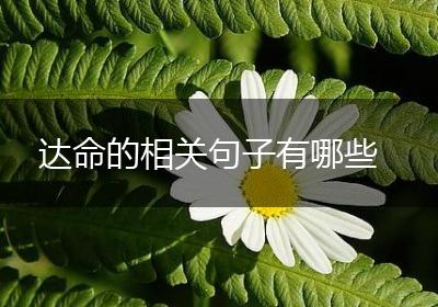 达命的相关句子有哪些