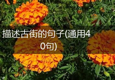 描述古街的句子(通用40句)