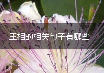 王相的相关句子有哪些