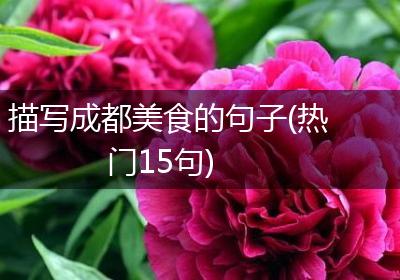 描写成都美食的句子(热门15句)