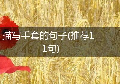 描写手套的句子(推荐11句)
