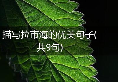 描写拉市海的优美句子(共9句)