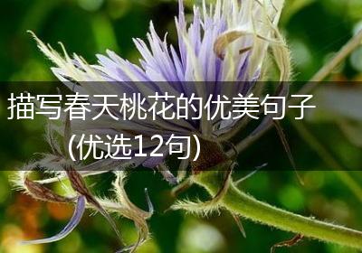 描写春天桃花的优美句子(优选12句)