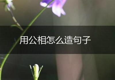 用公相怎么造句子