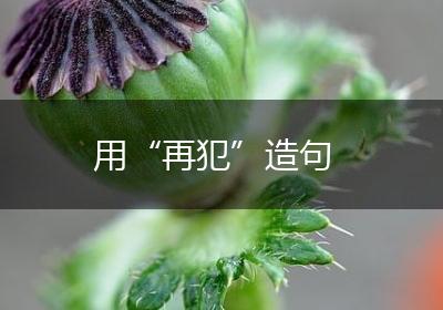 用“再犯”造句