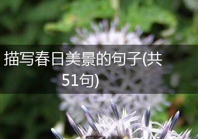 描写春日美景的句子(共51句)