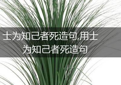 士为知己者死造句,用士为知己者死造句