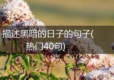 描述黑暗的日子的句子(热门40句)