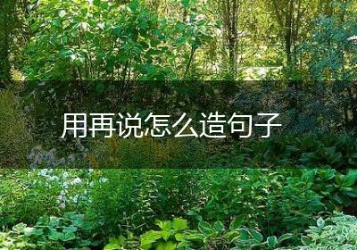 用再说怎么造句子