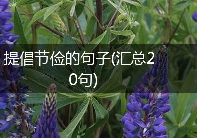 提倡节俭的句子(汇总20句)