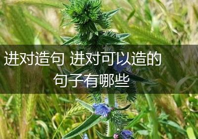 进对造句 进对可以造的句子有哪些
