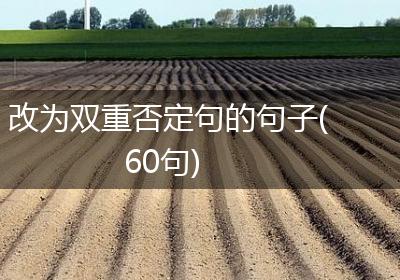 改为双重否定句的句子(60句)
