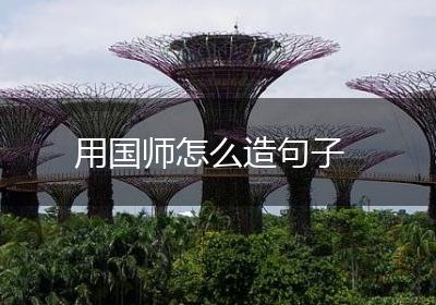 用国师怎么造句子