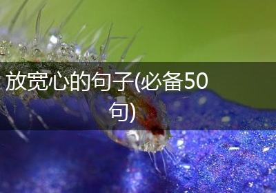放宽心的句子(必备50句)