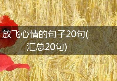 放飞心情的句子20句(汇总20句)