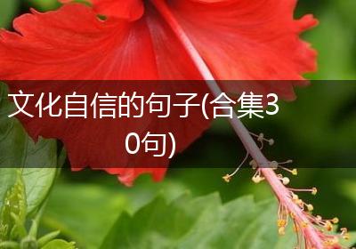 文化自信的句子(合集30句)