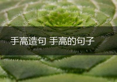 手高造句 手高的句子