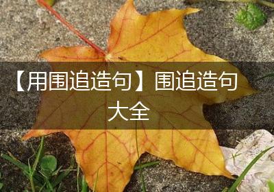 【用围追造句】围追造句大全