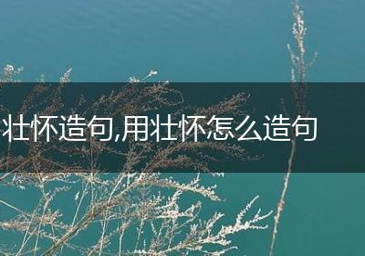 壮怀造句,用壮怀怎么造句