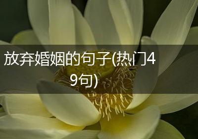 放弃婚姻的句子(热门49句)