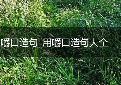 嚼口造句_用嚼口造句大全