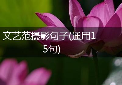 文艺范摄影句子(通用15句)