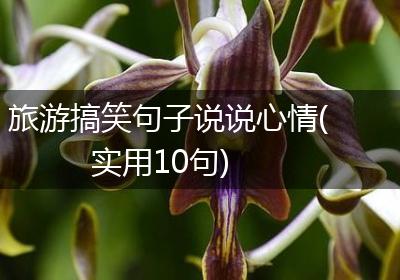旅游搞笑句子说说心情(实用10句)