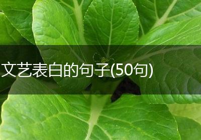 文艺表白的句子(50句)