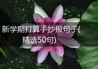 新学期打算手抄报句子(精选50句)