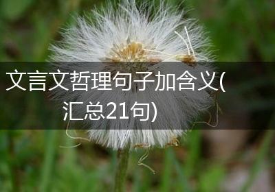 文言文哲理句子加含义(汇总21句)