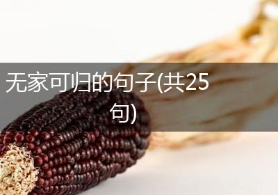 无家可归的句子(共25句)