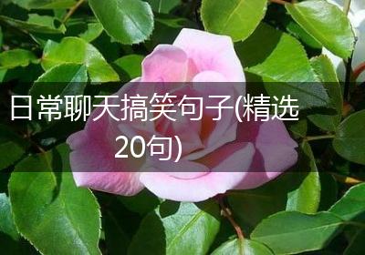 日常聊天搞笑句子(精选20句)