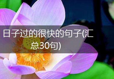 日子过的很快的句子(汇总30句)