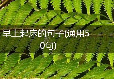 早上起床的句子(通用50句)