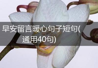 早安留言暖心句子短句(通用40句)